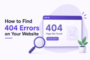 find 404 errors on website